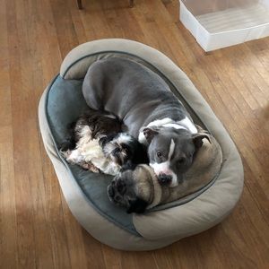 Meet your Posher, Mary